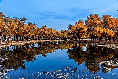 传《尼尔：机械纪元》续作、《古墓丽影》新作今年公布